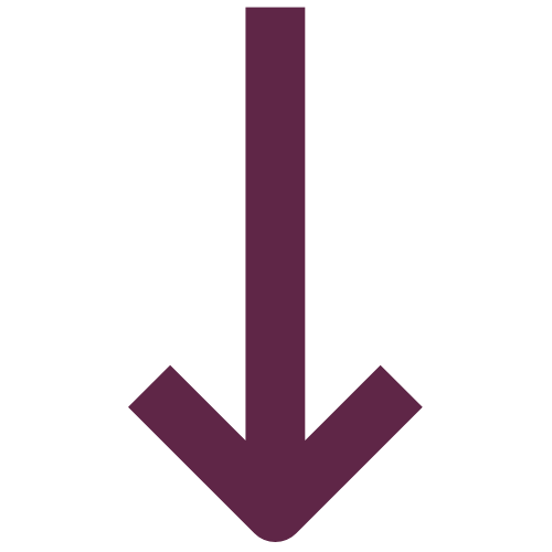 sipka-1